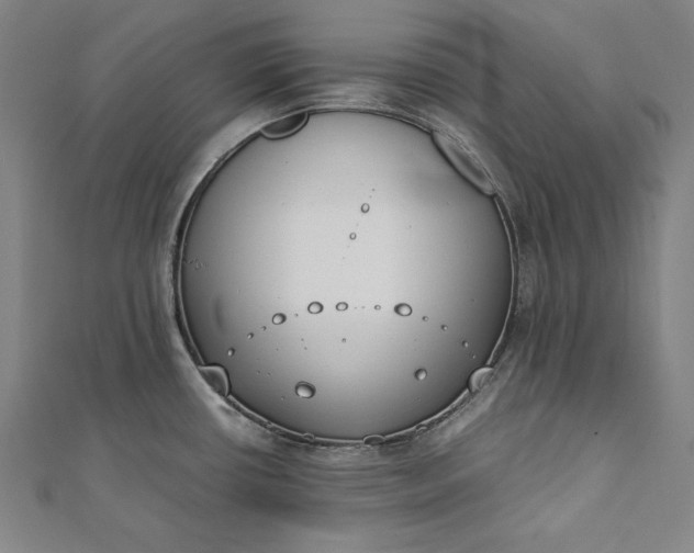 X0000112171434200908211416