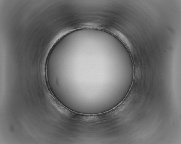 X0000112171435200908211416