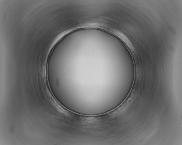 X0000112171436200908211416