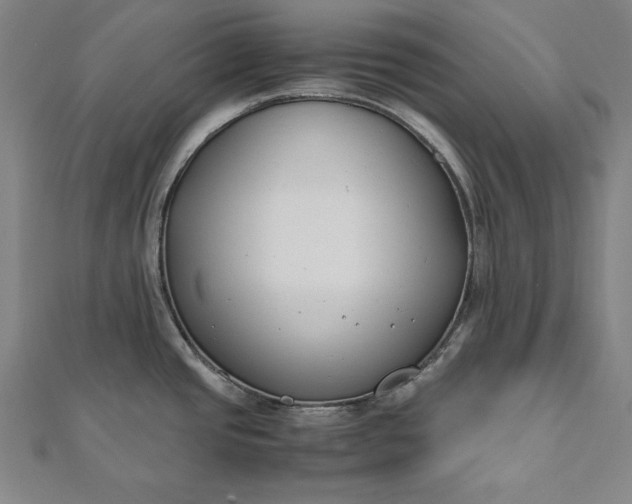 X0000112171437200908211416