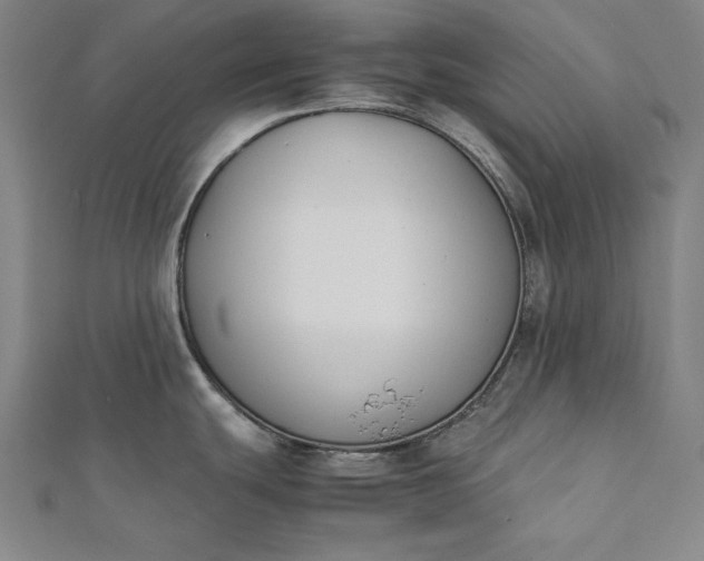 X0000112171439200908211416