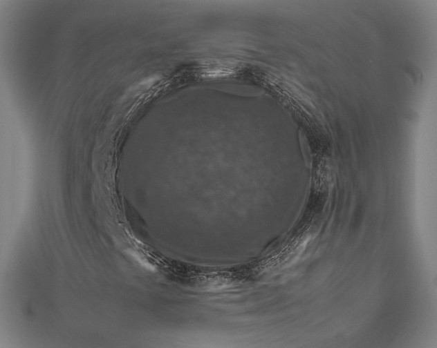 X0000112171441200908211416