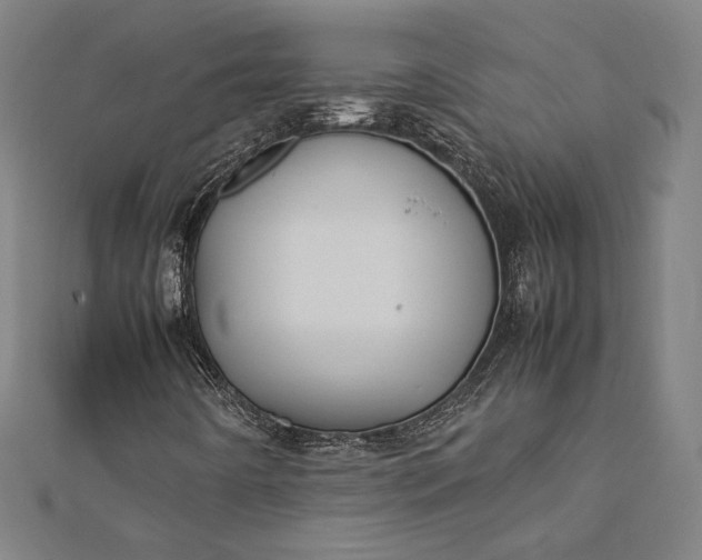 X0000112171442200908211416