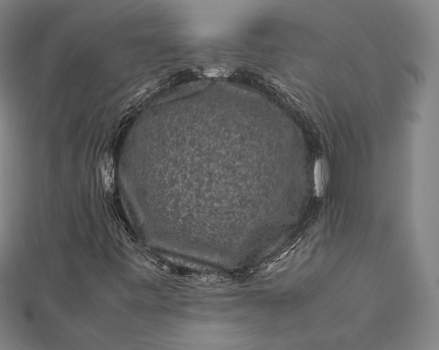 X0000112171443200908211416