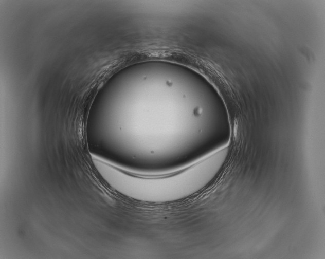 X0000112171444200908211416