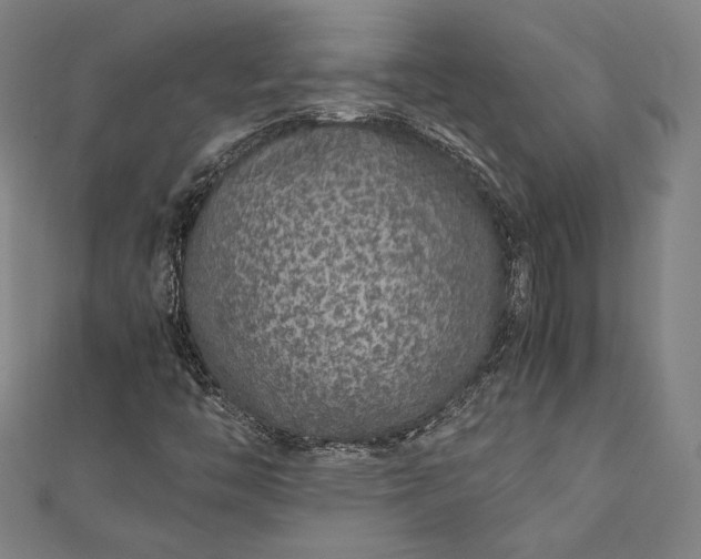 X0000112171446200908211416