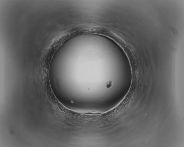 X0000112171447200908211416