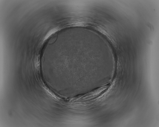 X0000112171450200908211416