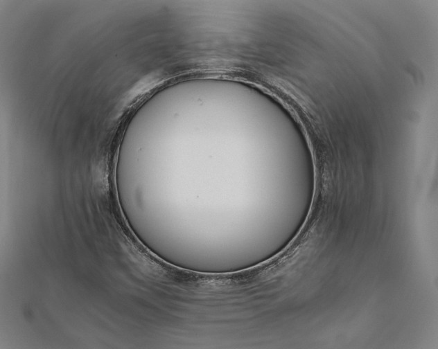 X0000112171451200908211416