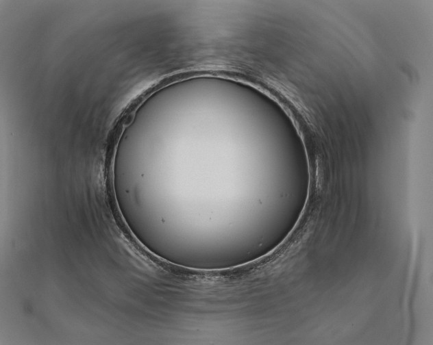 X0000112171452200908211416