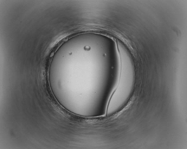 X0000112171453200908211416