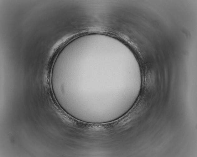 X0000112171454200908211416