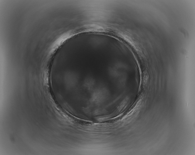 X0000112171455200908211416