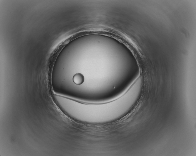 X0000112171456200908211416