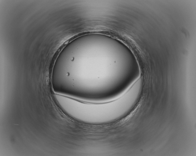 X0000112171457200908211416