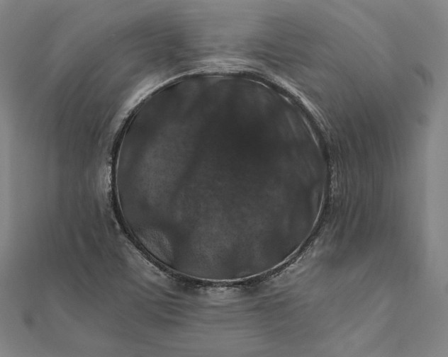 X0000112171459200908211415