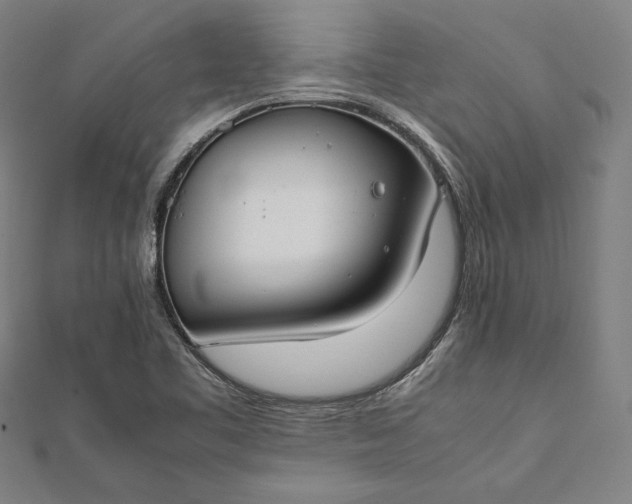 X0000112171461200908211415