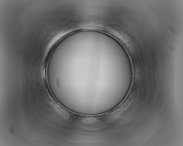 X0000112171462200908211415