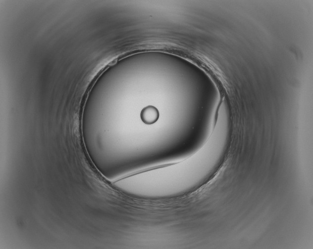 X0000112171465200908211415