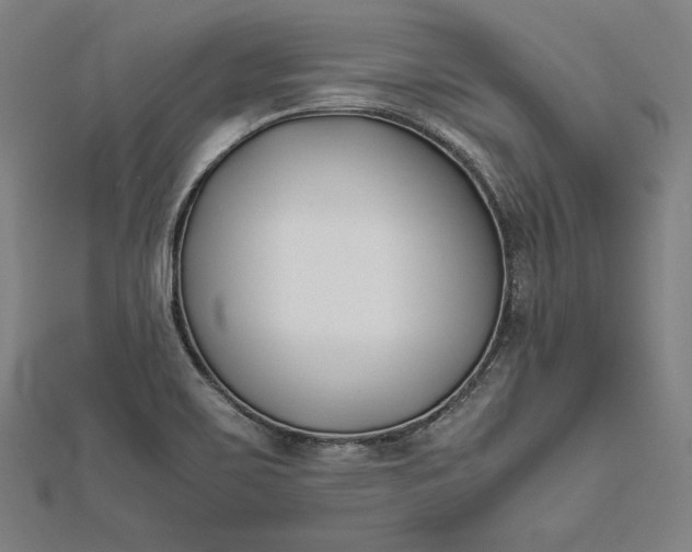 X0000112171467200908211415