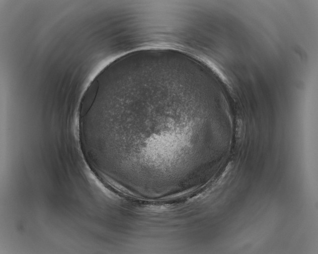 X0000112171468200908211415