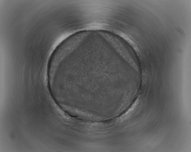 X0000112171469200908211415