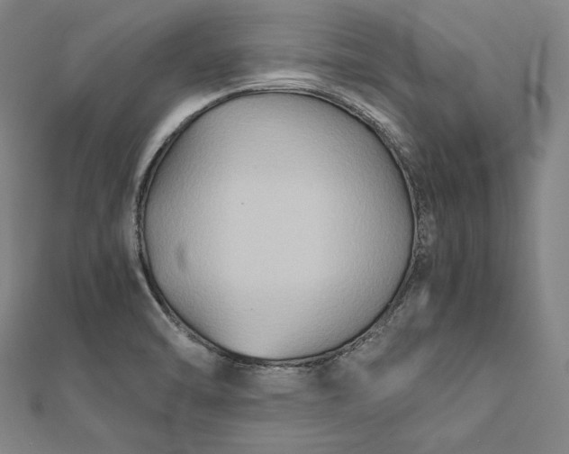 X0000112171470200908211415