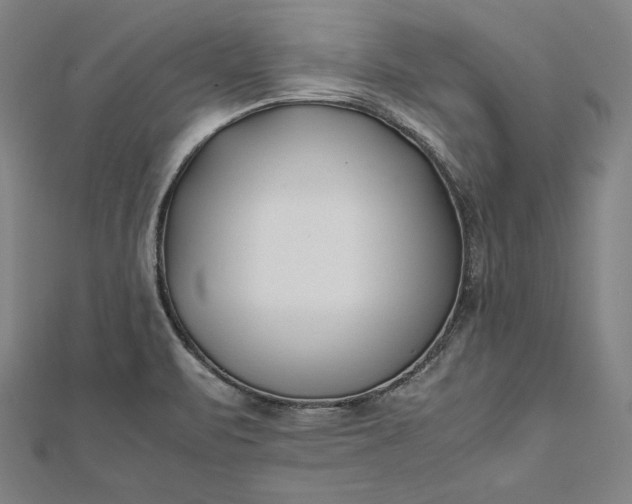 X0000112171471200908211415