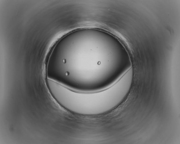 X0000112171472200908211415