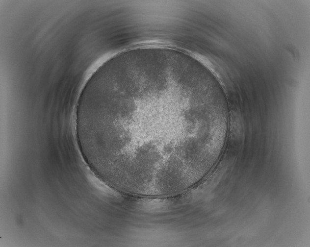 X0000112171474200908211415