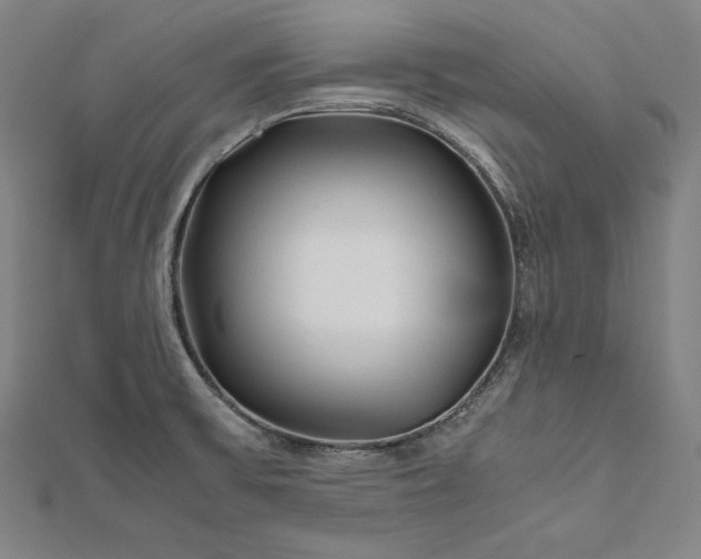 X0000112171475200908211415