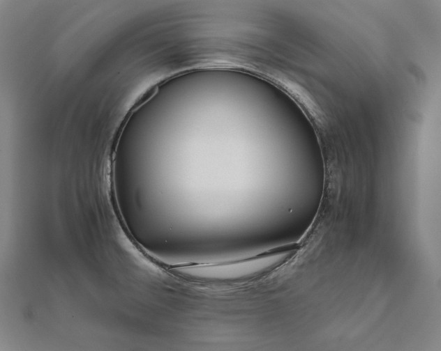 X0000112171476200908211415