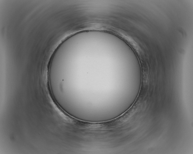 X0000112171479200908211415