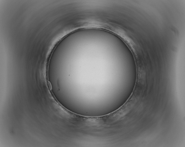 X0000112171480200908211415