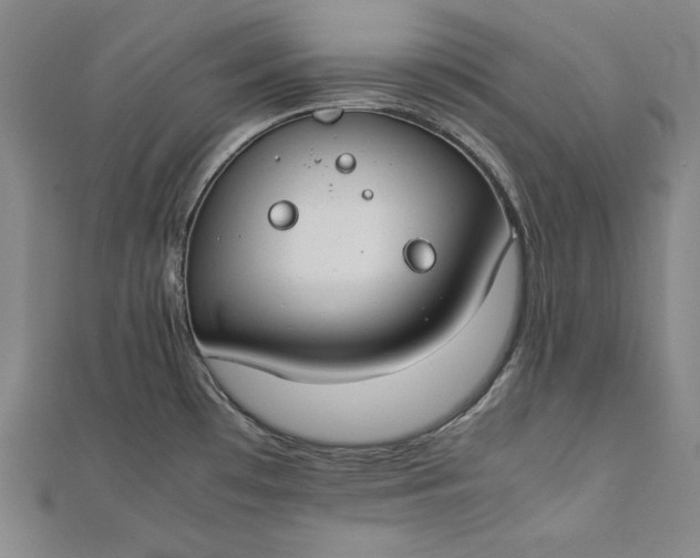 X0000112171481200908211415