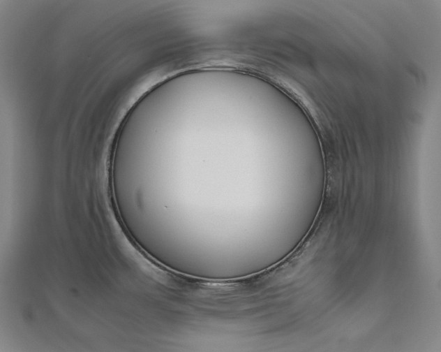 X0000112171483200908211415