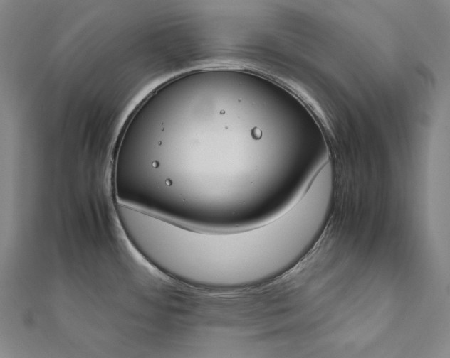 X0000112171484200908211415