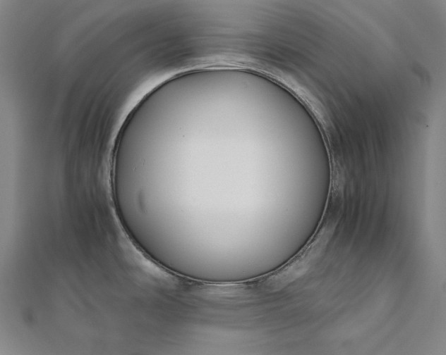 X0000112171486200908211415