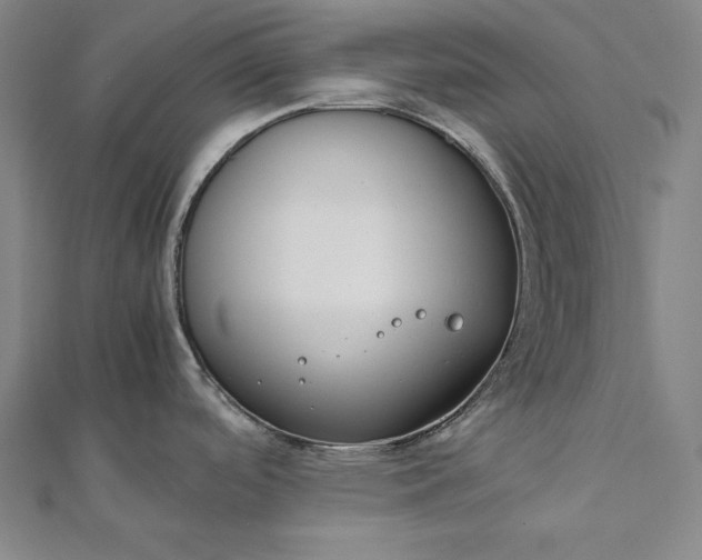 X0000112171488200908211415