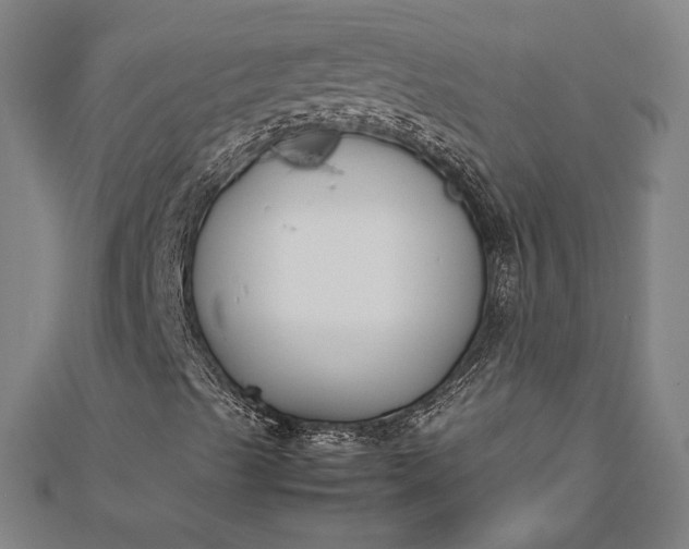 X0000112171489200908211414