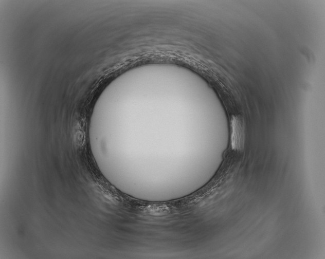 X0000112171491200908211415