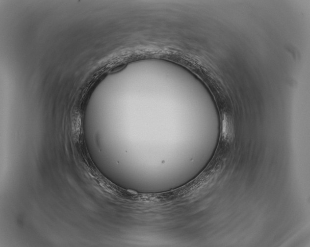 X0000112171492200908211415