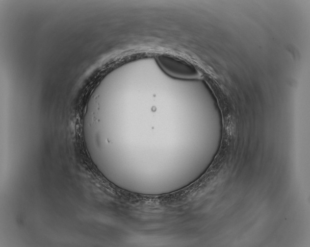 X0000112171495200908211415