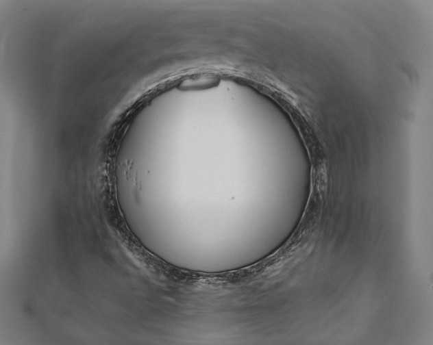 X0000112171496200908211415