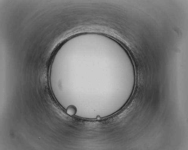 X0000112171498200908211415