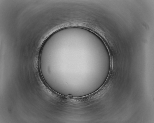 X0000112171500200908211415