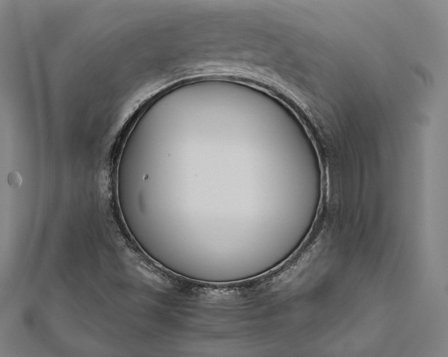 X0000112171501200908211415