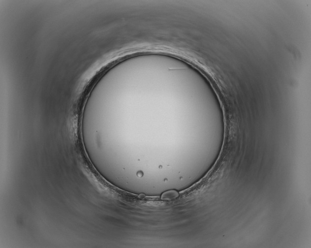 X0000112171503200908211415