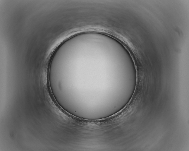 X0000112171504200908211415