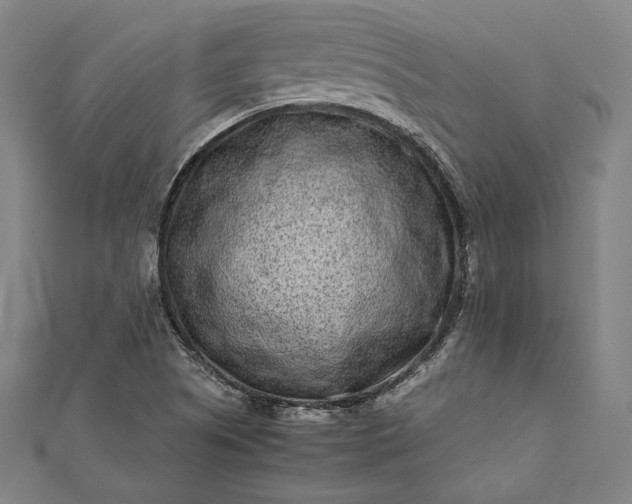 X0000112171505200908211415